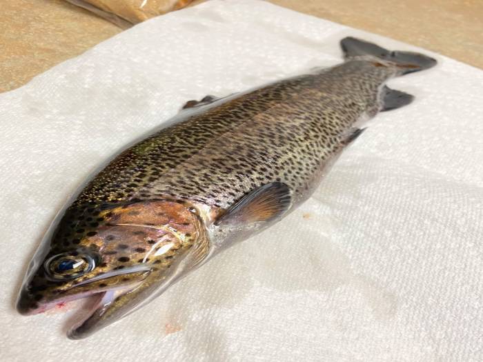 First Time Trout Fishing in Hot Springs, Arkansas by Chase Alford