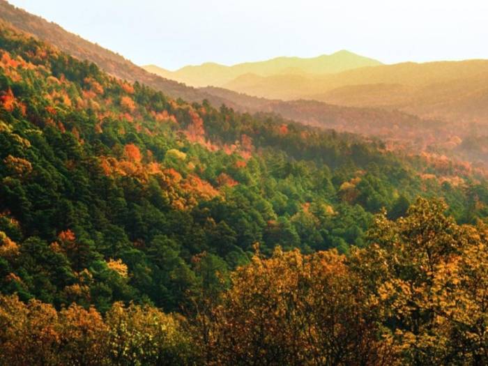 Hot Springs, Arkansas is your TOP destination to admire the stunning fall foliage!
