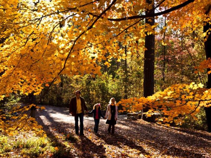 Hot Springs, Arkansas is your TOP destination to admire the stunning fall foliage!