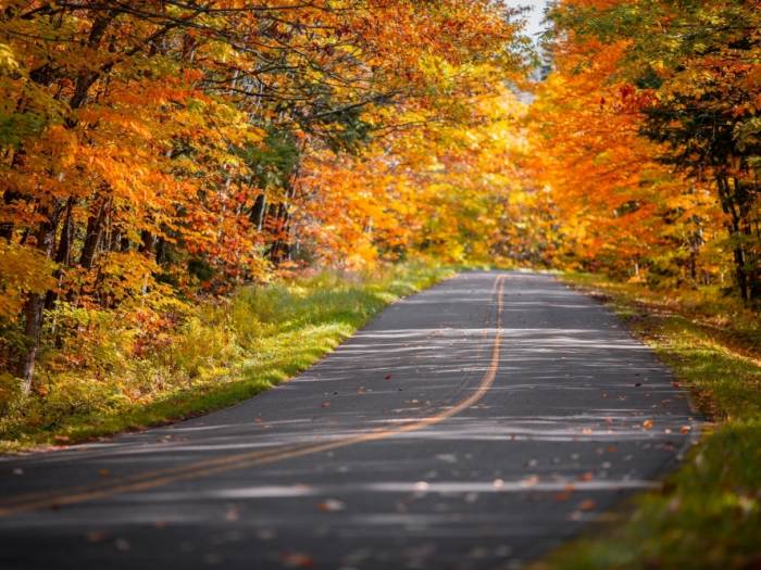 Hot Springs, Arkansas is your TOP destination to admire the stunning fall foliage!